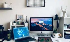 走进棉花期货吧：天涯论坛上的投资热土，聊聊那些飞涨的棉花价格和股民的欢笑与泪水。